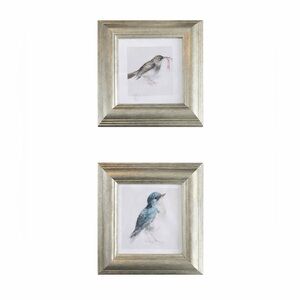 Set of Two Framed Frogs Art Prints
